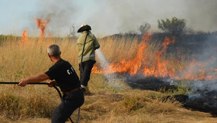 пожар - ОГНЕНА СТИХИЯ: Голям горски пожар между две села в Източните Родопи (ВИДЕО)