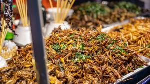 Докато някои хора считат яденето на насекоми за неприятно Япония