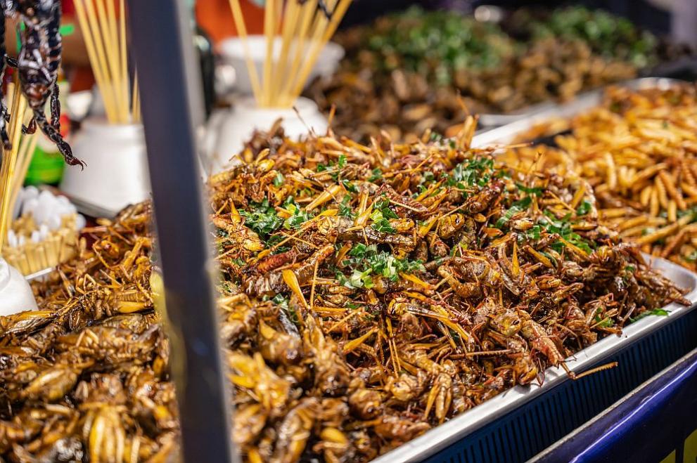 Докато някои хора считат яденето на насекоми за неприятно, Япония
