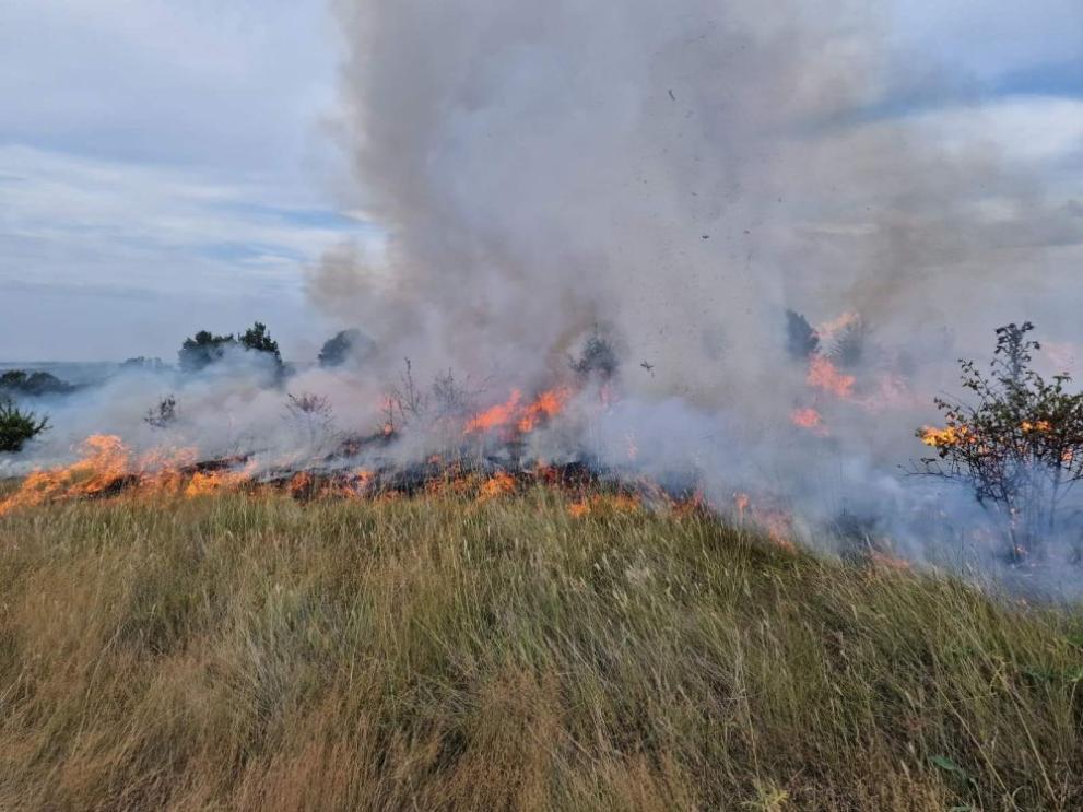Пожари пламнаха в няколко области в страната, докато на много