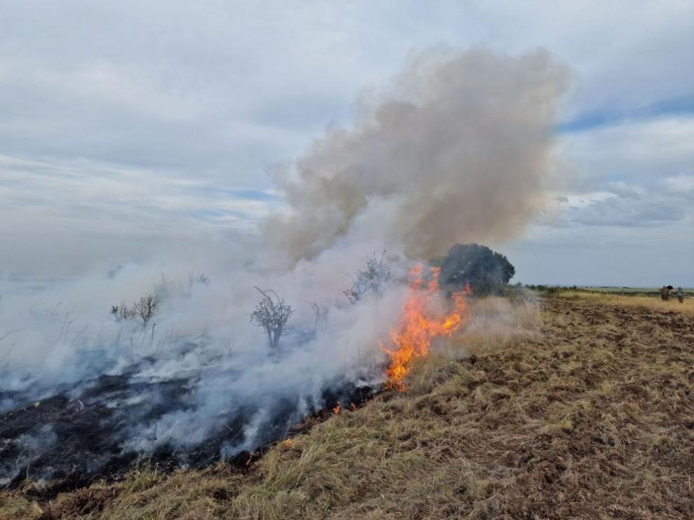 Собственик на пчелин предизвика по непредпазливост пожар в житен блок