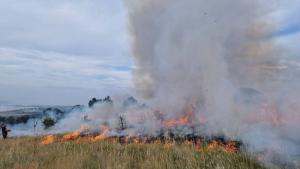 Пожар край първомайското село Искра Пламъците са тръгнали от сухи