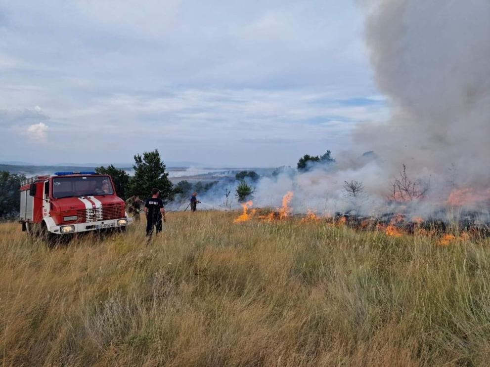 Големи пожари пламнаха в местностите Буная и Рогачов камък край