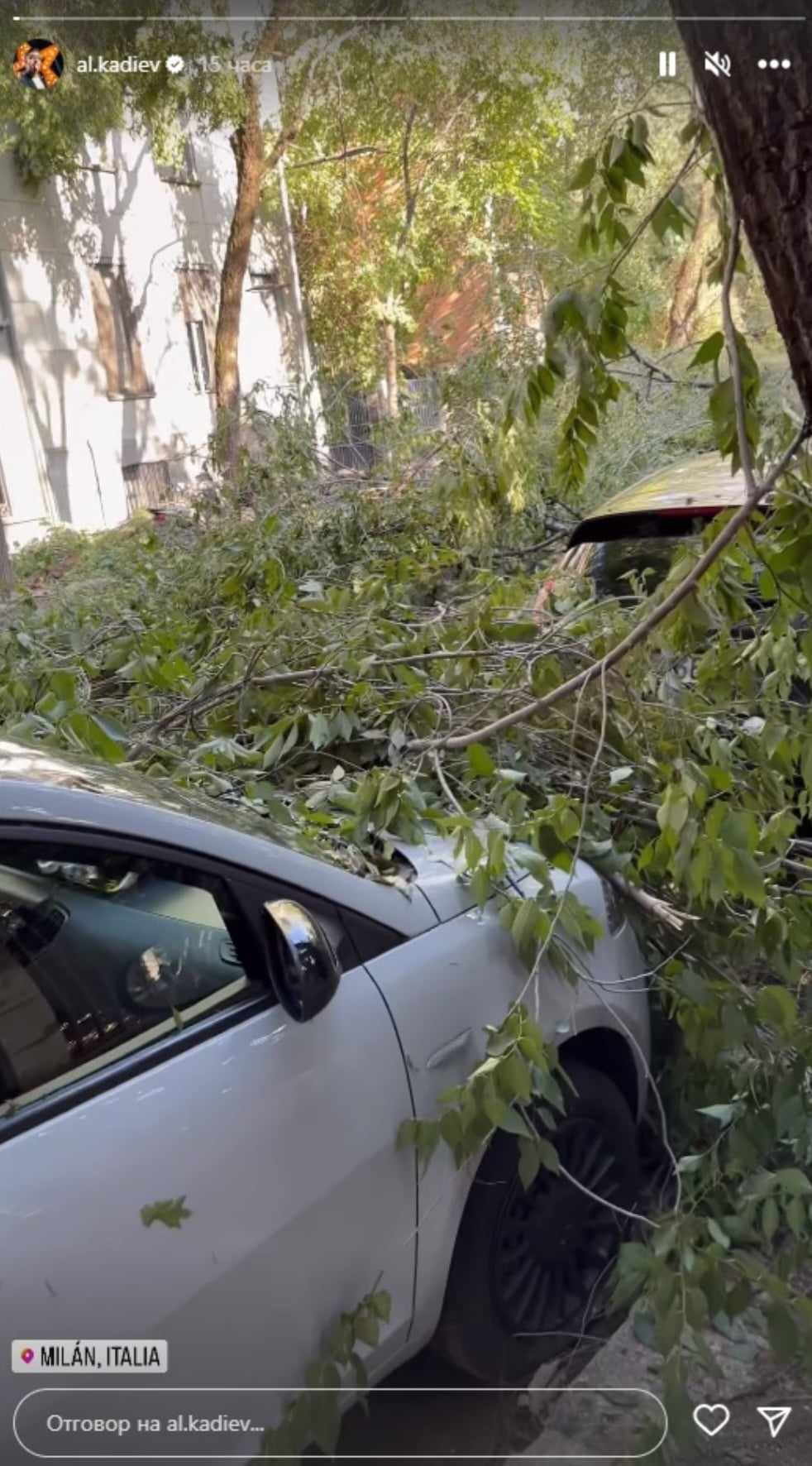 Сашо Кадиев