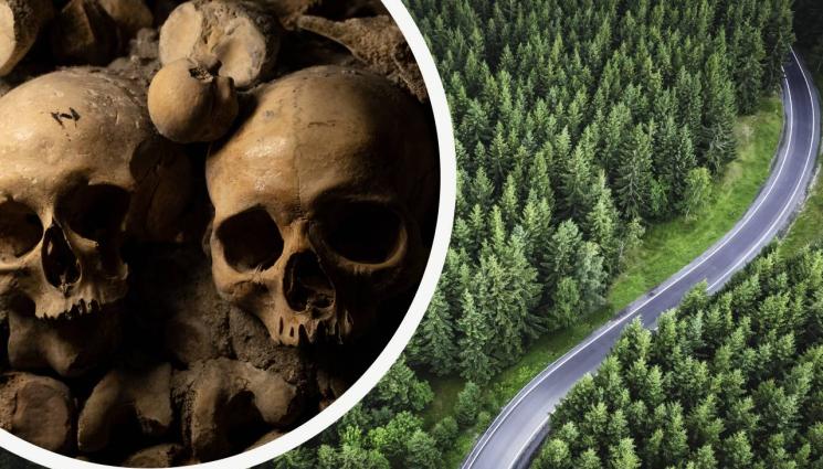 гора скелети - В ГОРАТА: Откриха мумифицираните тела на цяло семейството