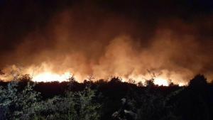 Отново се разгоря пожарът който избухна снощи край Пазарджик и