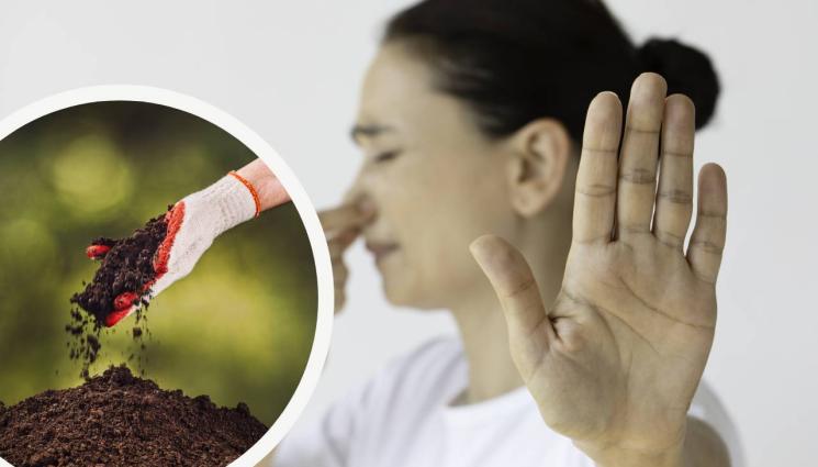 миризма - СМРАД: Непоносима миризма тормози Велико Търново