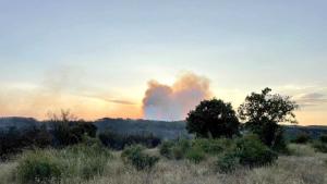 След като в понеделник бе локализиран пожарът в Източните Родопи