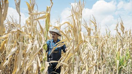 пролетници