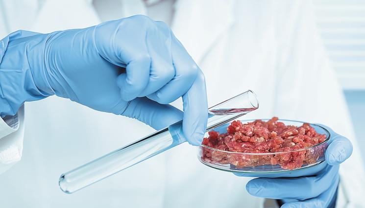 лабораторно месо - Любими мръвки водят до 8 различни вида рак!