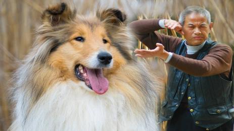 японец коли