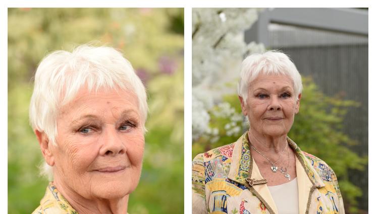 Джуди Денч - ШОКИРАЩА ТАЙНА: Джуди Денч е подложена на огромно изпитание