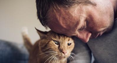 котка и стопанин