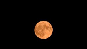 Пълната луна изгрява над Лудогорието БТАБТА Август е един от