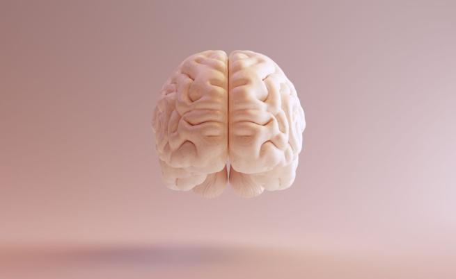 Проучване: Мозъчната активност се запазва дълго след смъртта