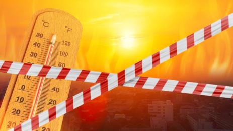 жега полиция лента