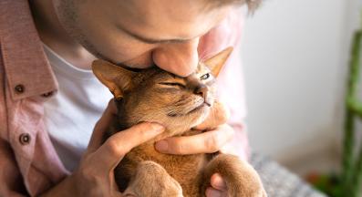 котка и стопанин