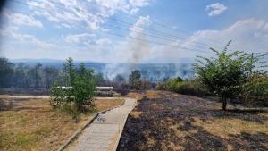 Пожар гори в парк Тюлбето в Казанлък   БГНЕС Огънят