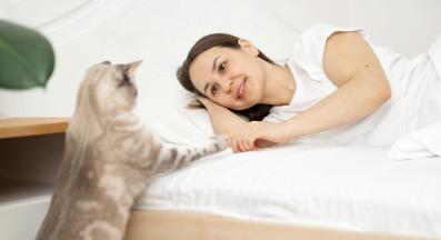 котка и стопанка