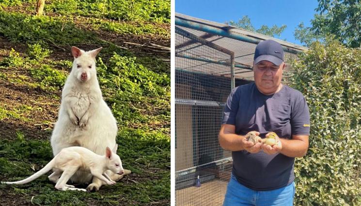 зоопарк Бургас - БЕЙБИ БУМ: 42 бебета за 6 дни в бургаския зоопарк