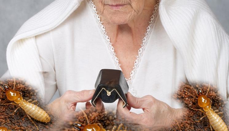 а - ПАЧКИ НА КОРЕМ! Термити опоскаха парите на пенсионерка (СНИМКА)