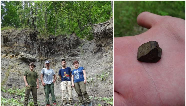 находка - Учени търсят динозаври край Трън