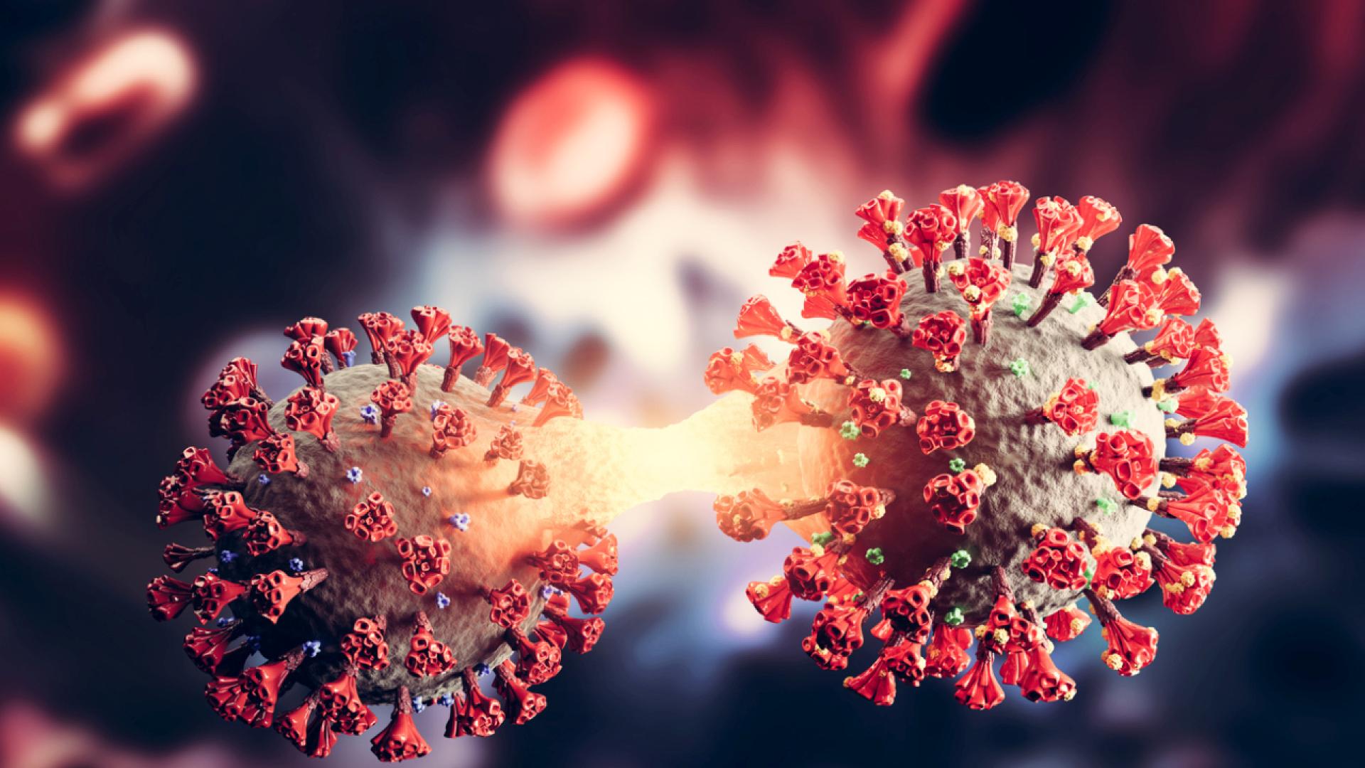 Нов щам на COVID 19 се разпространява в Китай  случаи са докладвани и