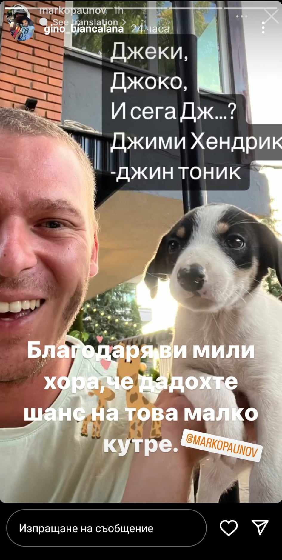 куче