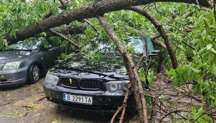 a - АПОКАЛИПСИС В СИМЕОНОВГРАД! Мощна буря връхлетя града, дървета смачкаха автомобили и потрошиха покрив на къща (ВИДЕО и СНИМКИ)