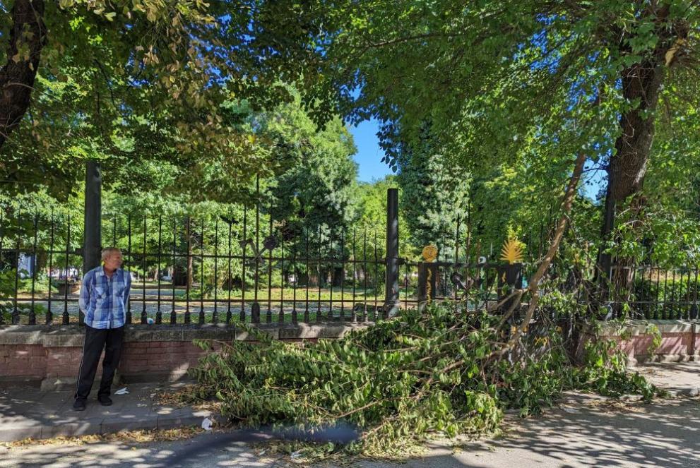 Голям клон се е прекършил от бурята снощи и е