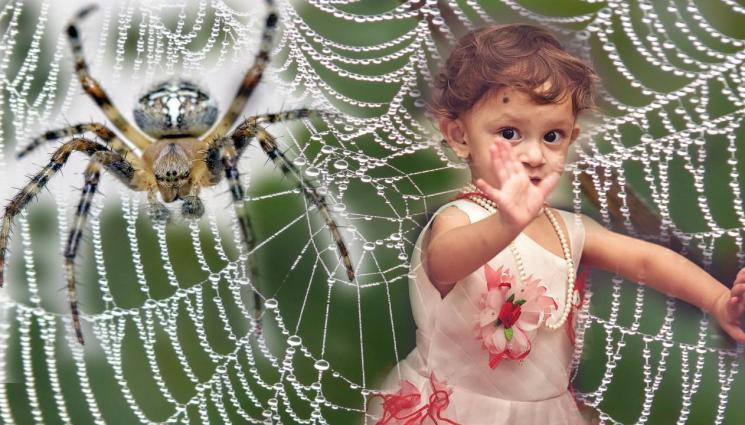 дете паяк3 - НЕ Е ЗА ВЯРВАНЕ! 8-годишно дете се залепи за тавана на дома си! (СНИМКИ+ВИДЕО)