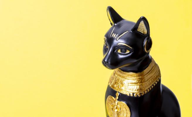 За любимите животни: Египтяните бръснели веждите си в памет на котките
