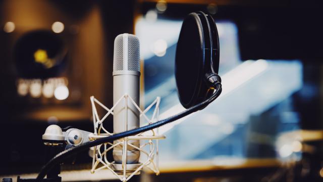 „Палмс Мюзик“ и НМА организират конкурс за млад български композитор