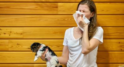 куче алергия