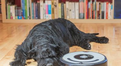 куче прахосмукачка