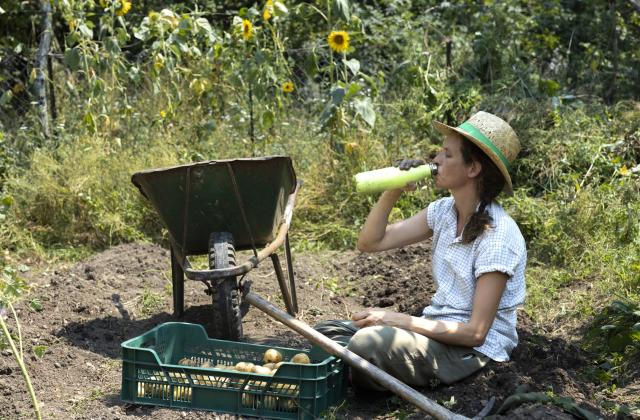 През летния сезон са зачестили случаите с измамени български граждани,