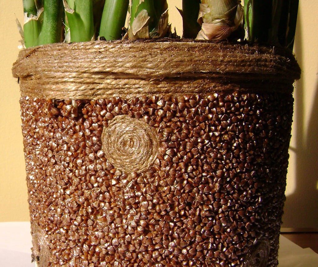 цвете саксия ботуш