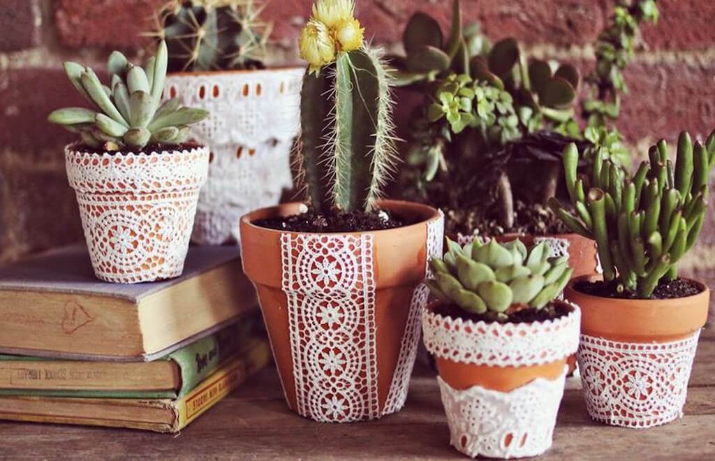 цвете саксия ботуш