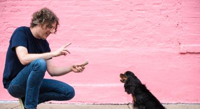 куче седене