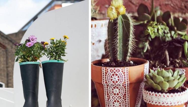 цветя - ПРАКТИЧНИ СЪВЕТИ: Обуваме цветето в скъсан патък