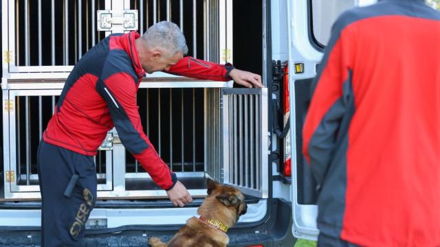 Българската група за спасяване с кучета разчита много на доброволци