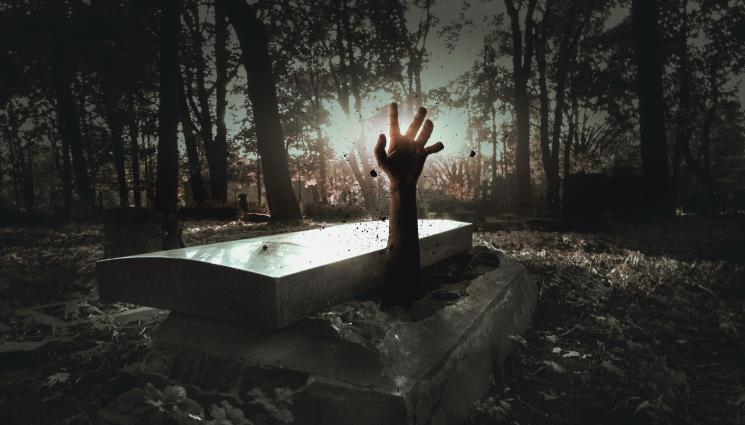 ковчег - Познай кой тропа от ковчега!