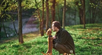 куче дресура