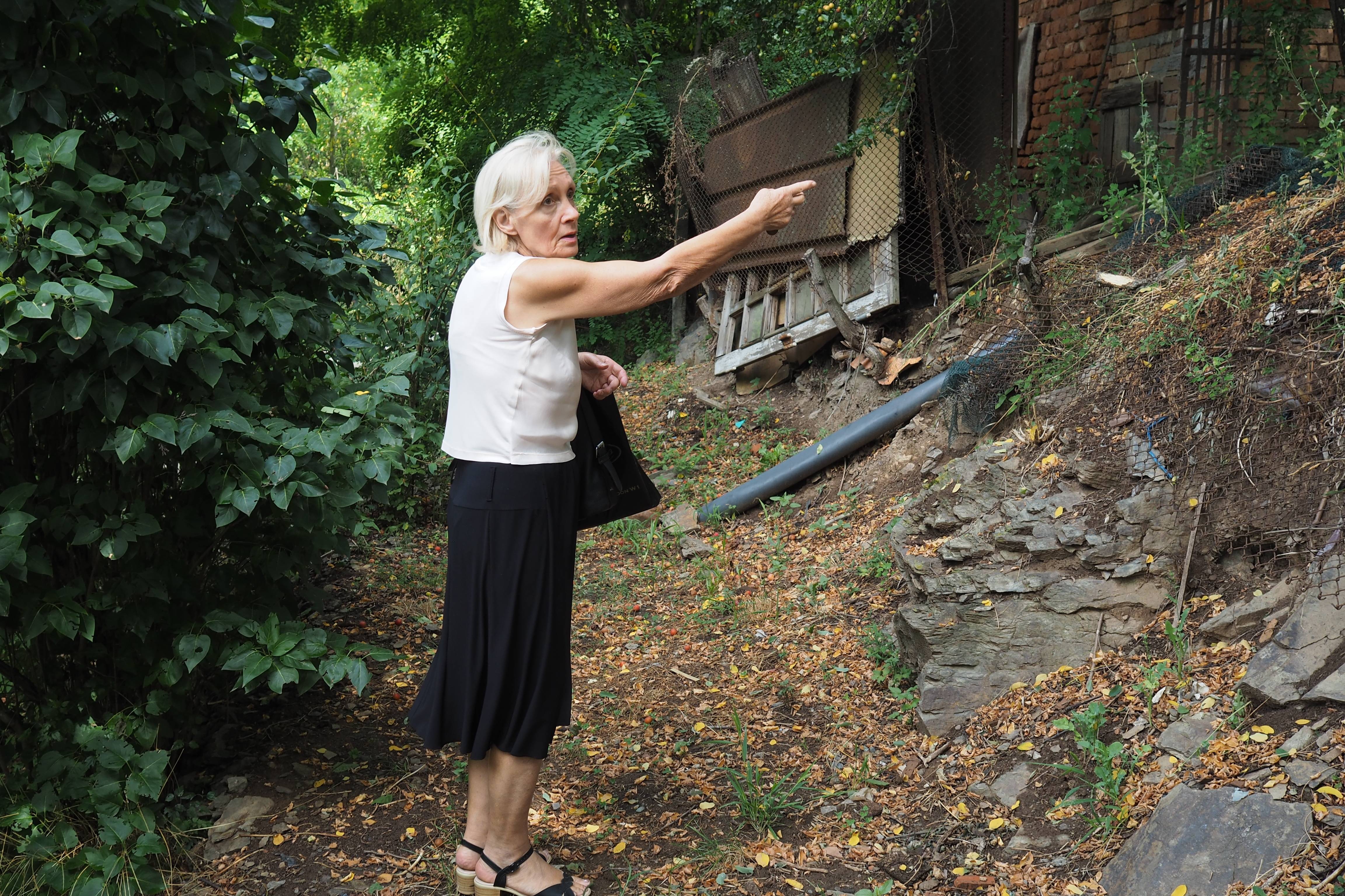 Своге сметища