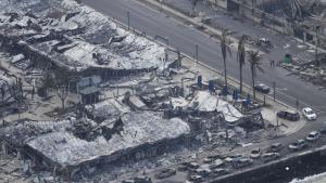 Сателитни изображения заснети преди и след пожара показват опустошението причинено
