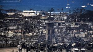 110 са вече жертвите на катастрофалните пожари които почти изпепелиха