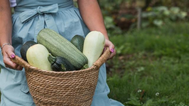 За кого не са полезни тиквичките