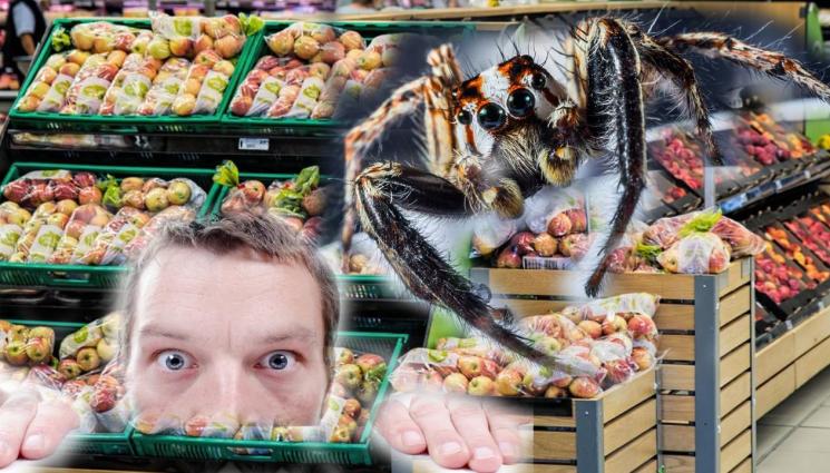 паяк - СТРАХ! Паяк за силна ерекция затвори цял супермаркет! (ВИДЕО)