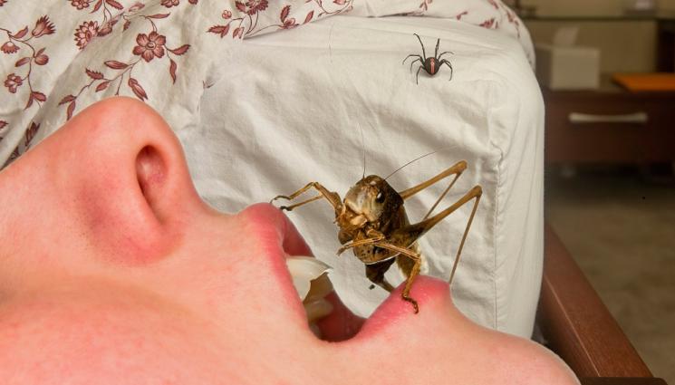 а - НОЩНО ПИРШЕСТВО! Поглъщаме буболечки, докато спим