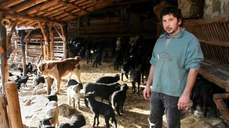 Сидер Седефчев